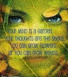 mind is garden