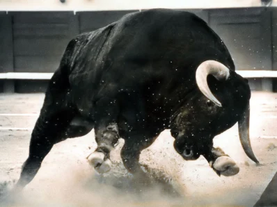 dangerous-black-bull